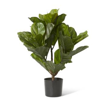 E Style Fiddle Leaf Potted Plant Outdoor Plastic Wire Cement Green 46x38x60cm