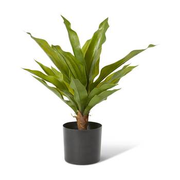 E Style Dracaena Potted Plant Outdoor Plastic Wire Cement Green 38x38x48cm