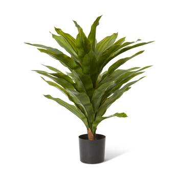 E Style Dracaena Potted Plant Outdoor Plastic Wire Cement Green 60x60x68cm