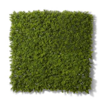 E Style Forest Moss Wall Tiles Outdoor PE Material Green 100x10x100cm