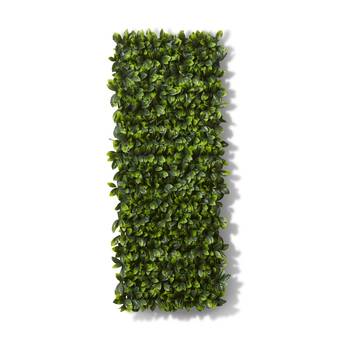E Style Laurel Extendable Trellis Outdoor PE PVC Artificial Green 100x10x200cm