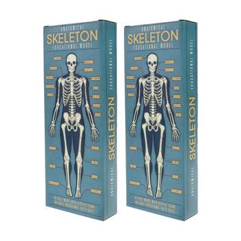 2x 16pc Rex London Anatomy Skeleton Model Educational Activity Toy Kids 3y+