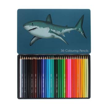 36pc Rex London Colouring Pencils Set With Shark Tin Creative Drawing