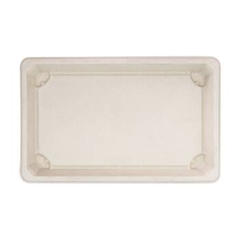 24x 10pc Partyware Earth-Friendly Durable Tray Set 216x136mm Sugar Cane