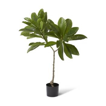 E Style Loquat Tree Artificial Plant Decor Green 80x65x120cm
