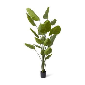 E Style Bird Of Paradise Artificial Tree Plant Decor Green 120x120x240cm