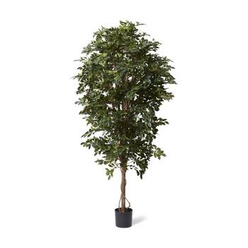 E Style Ficus Retusa Tree Artificial Plant Decor Green 65x65x210cm
