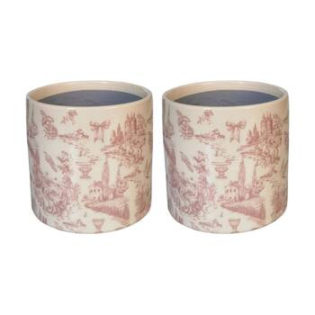 2x Urban Products Romantique Toile Planter Pink Ceramic Decorative Pot 14cm