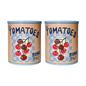 2x Urban Products Fresh Tomatoes Can Planter Cream Decorative Pot 16cm