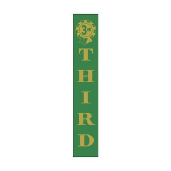 100pc Victor Ribbons 3rd Place Polyester Competitor Award Green 3x17cm