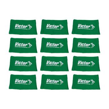 12PK Victor Bean Bag Solid Plastic Fill Educational Sport Green 10x15cm