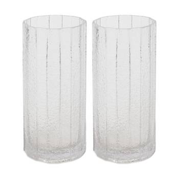2PK E Style Samara Tall Glass Vase Textured Finish Decor Vessel Clear 12x12x25cm