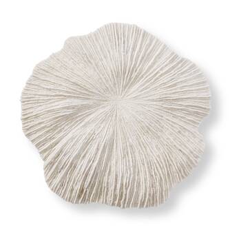E Style Sea Coral Wall Decor Coastal Contemporary White 50x8x49cm