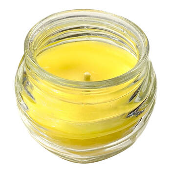 220g Glass Citronella Candle