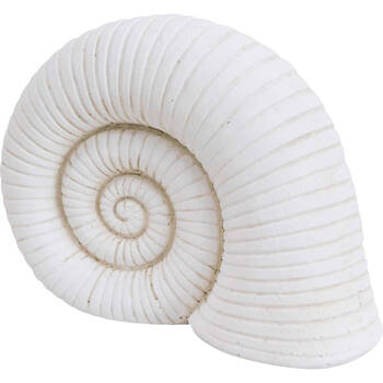LVD Cement Shell Ornament Home Decor 23.5x17.5cm - White