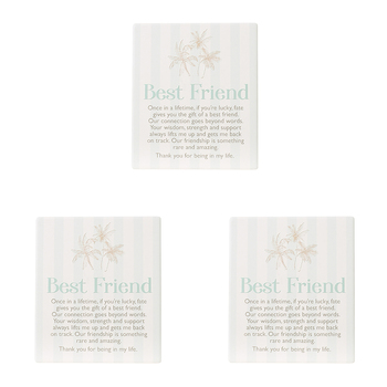 3PK Splosh Coast Ceramic Best Friend Verse Plaque w/ Stand & Hanging Hook 12x14cm