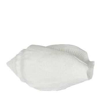 Belle Polyresin Shore Sea Snail Sculpture 20x11cm - White