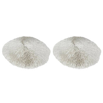 2PK Belle Polyresin Sofi Sea Urchin Sculpture 19x17cm - White
