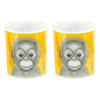 2PK LMD Dots By Donna Ollie The Orangutan Glass Candle 45hr - Yellow