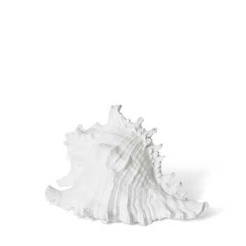 E Style 20cm Resin Murex Shell Sculpture - White