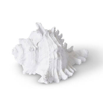 E Style Shell Murex Sculpture Tabletop Home Decor 14cm White