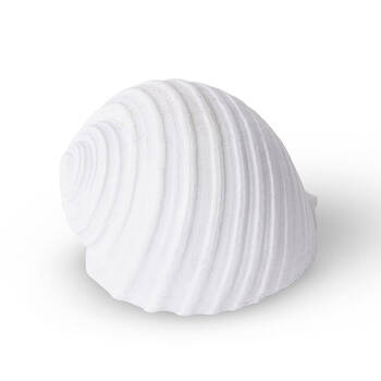 E Style Shell Moon Snail Sculpture Tabletop Home Decor 11cm White