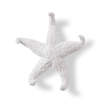 E Style Starfish Ochre Sculpture Tabletop Home Decor 24cm White