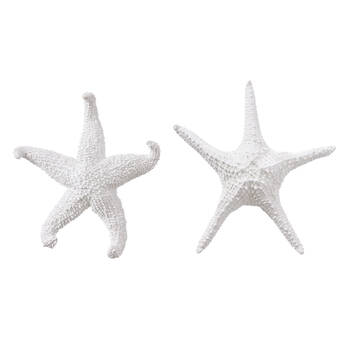 E Style Starfish Ochre/Bat Star Sculpture Home Decor Combo Set White