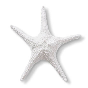 E Style Starfish Bat Star Sculpture Tabletop Home Decor 32cm White