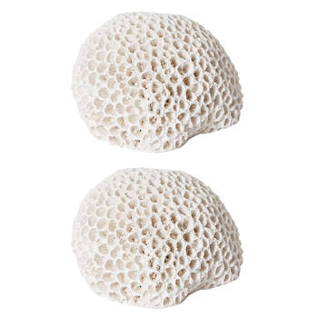 2PK E Style Coral Brain Decorative Display Polyresin 16x13cm - White