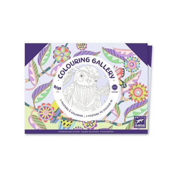 Djeco Birds Colouring Gallery Kids Art Activity 8y+