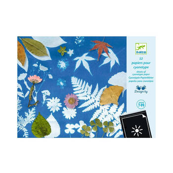 Djeco Cyanotype Paper Kids Creative Craft/Art Kit 7y+