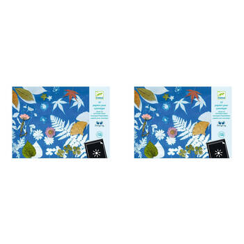 2PK Djeco Cyanotype Paper Kids Creative Craft/Art Kit 7y+