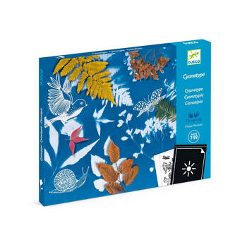 Djeco Cyanotype Starter Kit Kids Creative Craft Kit 7y+