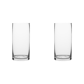 2PK Ecology Fleur Cylinder Glass Vase Decorative Flower Vessel 25cm