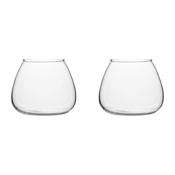 2PK Ecology Fleur Bouquet Glass Vase Decorative Flower Vessel 15cm