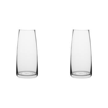 2PK Ecology Fleur Posy Glass Vase Decorative Flower Vessel 25cm