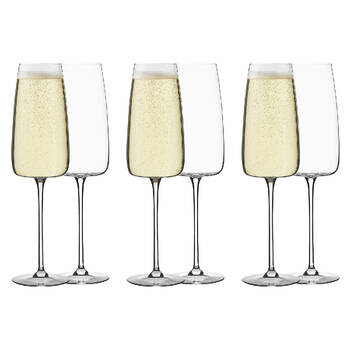 6pc Ecology Epicure Stemmed 300ml Champagne Glute Glasses - Clear