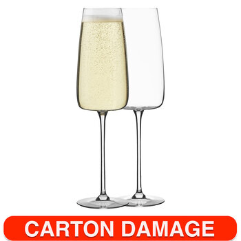 6pc Ecology Epicure Stemmed 300ml Champagne Glute Glasses - Clear