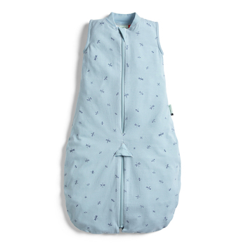 Ergopouch Baby Jersey Sleep Suit Bag Tog 0.2 Size 2-4 Years Dragonflies