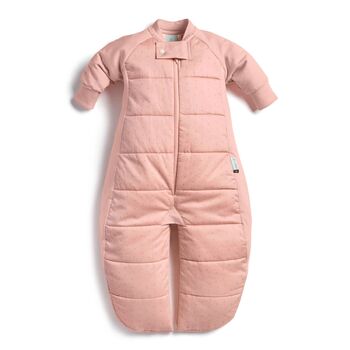 Ergopouch Sleep Suit Bag TOG: 2.5 Size: 2-4 Years - Berries
