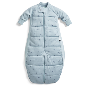 ErgoPouch Sleep Suit Bag TOG 2.5 Size 2-4 Years - Dragonflies
