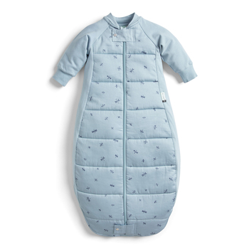 ErgoPouch Sleep Suit Bag TOG 3.5 Size 2-4 Years - Dragonflies