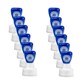 12PK Learning Can Be Fun Giggle & Grow Keep It Up Self-Inking Merit Stamp Blue