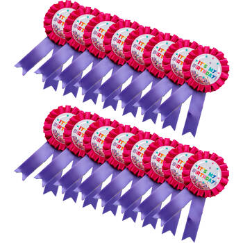 16PK Learning Can Be Fun Giggle & Grow Birthday Badge 8x16cm Pink