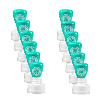 12PK Learning Can Be Fun Giggle & Grow Terrific Work Merit Stamp Blue