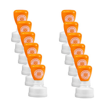 12PK Learning Can Be Fun Giggle & Grow Well Done Self-Inking Merit Stamp Orange
