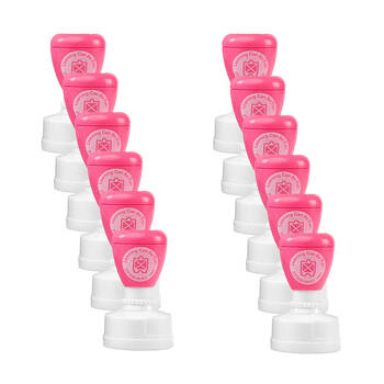 12PK Learning Can Be Fun Bright Thinking Self-Inking Merit Stamp Pink