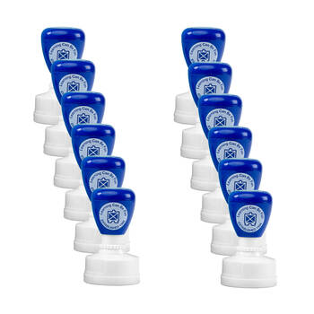 12PK Learning Can Be Fun Huge Effort Self-Inking Merit Stamp Blue