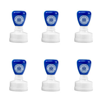 6PK Learning Can Be Fun Owl-standing Work Self-Inking Merit Stamp Blue